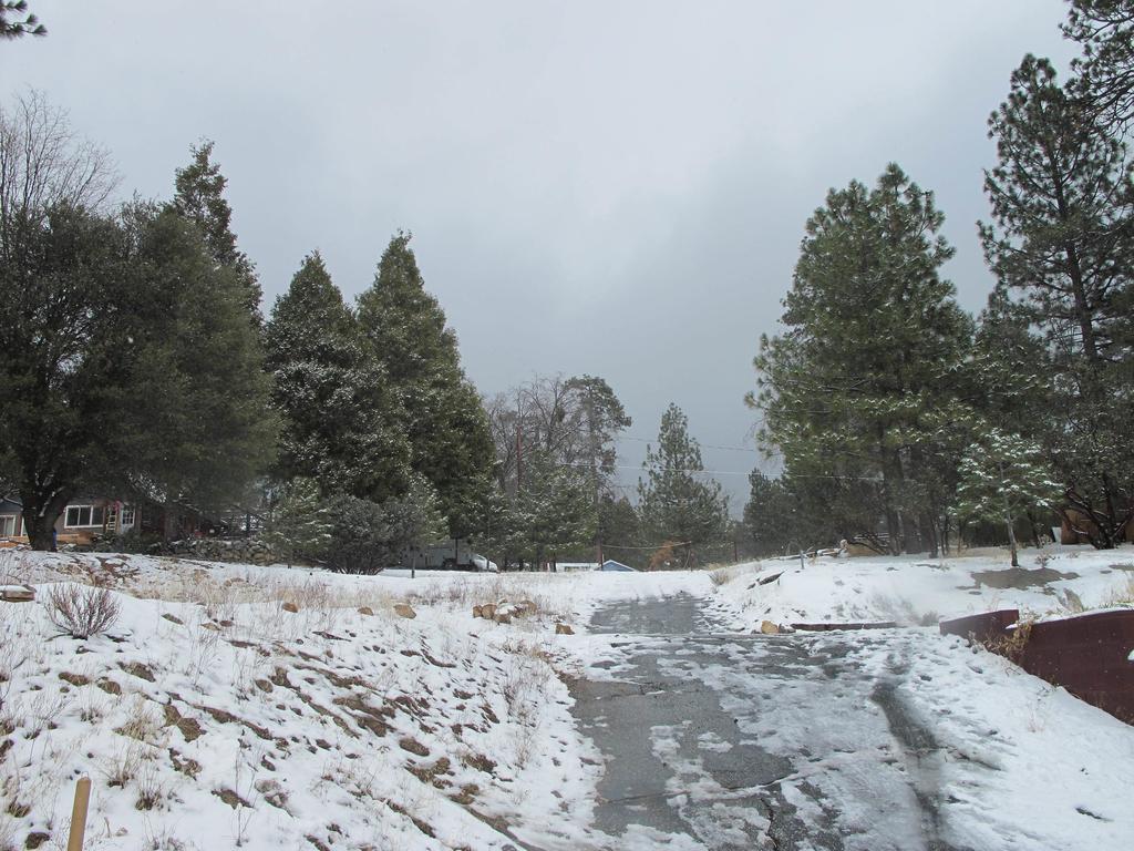 Pine Woods Resort Idyllwild Exterior photo