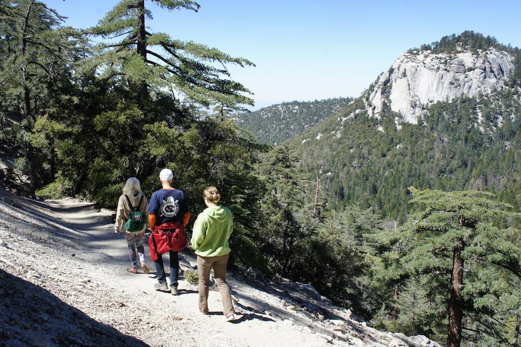 Pine Woods Resort Idyllwild Exterior photo